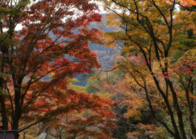 Bildreportage: Reise zum Kurama-Berg (Kyoto)