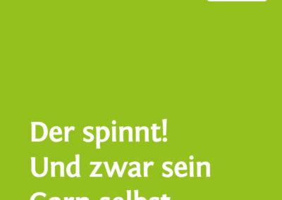 Kleine Einführung in die Spinnerei