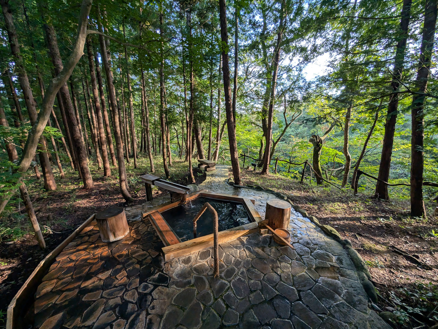 Kleine heiße Thermalquelle mit Holz-Umrandung umringt von Bäumen im Wald.