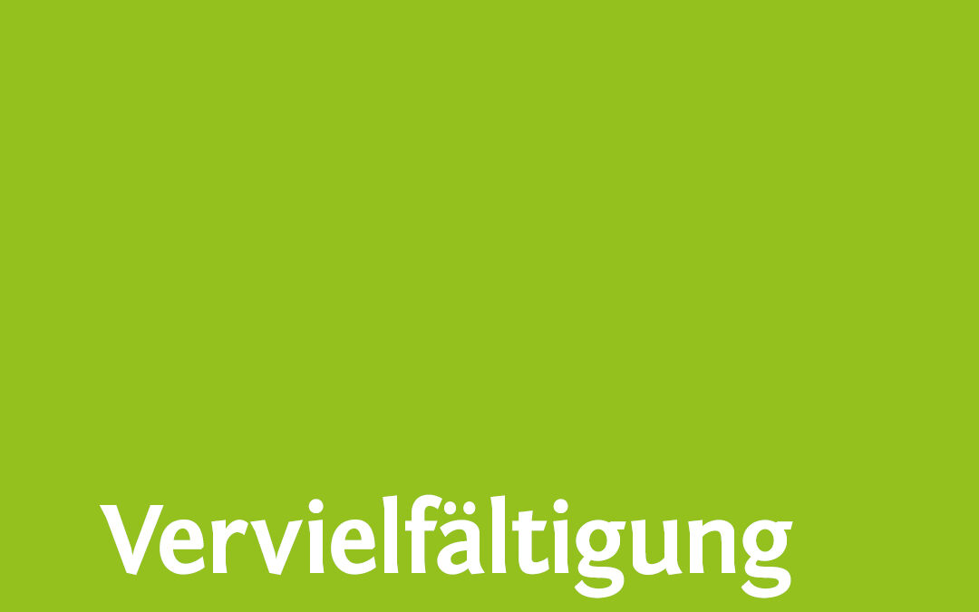 Einstieg in den Siebdruck
