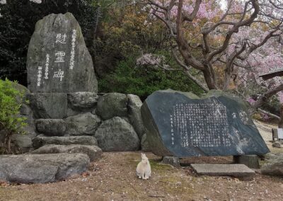 Japanreisen für Kaninchenliebhaber
