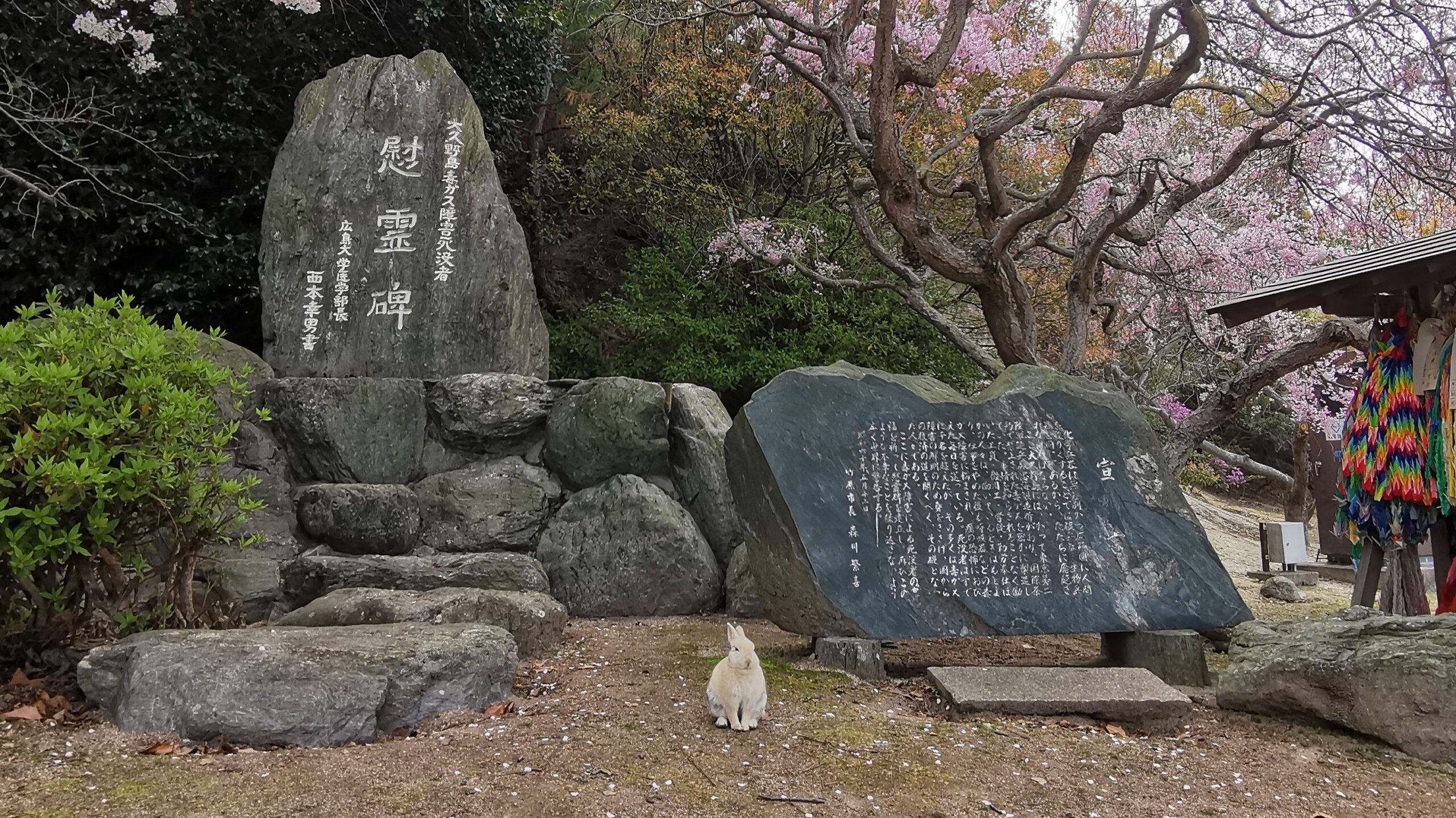 Es ist ein Stein mit eingemeißelten japanischen Schriftzeichen zu sehen, der neben einem blühenden Kirschbaum steht. Davor sitzt ein kleines Kaninchen.