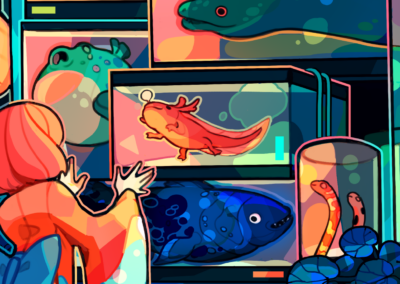 Farben & Kontraste – Wie finde ich die richtige Farbpalette?